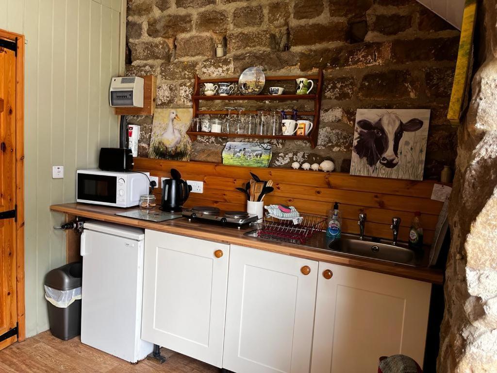 Chop Gate Shepherd'S Hut Bilsdale מראה חיצוני תמונה